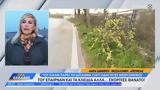Λαγκαδάς, Οδηγός, 50χρονη,lagkadas, odigos, 50chroni