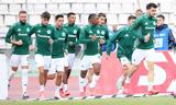 Παναθηναϊκός, Αυτό,panathinaikos, afto