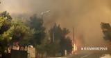 Ομάδα Καρτάλη, Συναγερμός,omada kartali, synagermos