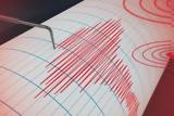 Ισχυρός σεισμός, 7 Ρίχτερ, Ζηλανδία,ischyros seismos, 7 richter, zilandia