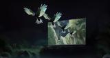 Xiaomi TV S Mini LED,