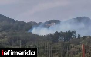 Πυρκαγιά, Σάμο [εικόνες], pyrkagia, samo [eikones]