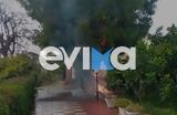 Εύβοια, Έπεσε,evvoia, epese