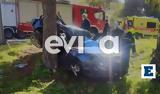 Σοβαρό, Εύβοια, 20χρονοι,sovaro, evvoia, 20chronoi