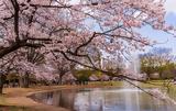Τόκιο,tokio