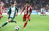 Ολυμπιακός, Ορτέγκα, Ρέτσο, ΑΕΚ,olybiakos, ortegka, retso, aek