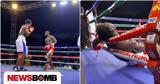 Τραγωδία, - Μποξέρ, - Συγκλονιστικό,tragodia, - boxer, - sygklonistiko
