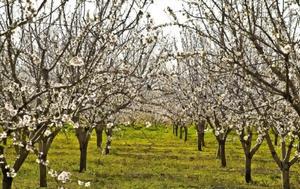 Έδεσσα, Δρόμοι, edessa, dromoi