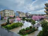 Απάτη, Ορεστιάδας,apati, orestiadas