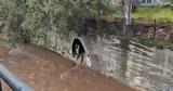 Εγκλωβισμένα, Προμπονά, Πατήσια,egklovismena, probona, patisia