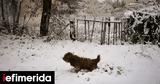 Winter Returns, Northern Greece,Cold Front Arrives
