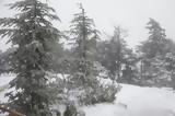 Χιόνια, Αττική, Κλέαρχος Μαρουσάκης,chionia, attiki, klearchos marousakis