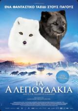 Προβολή, KINA #x26 YUK, Options Cinemas,provoli, KINA #x26 YUK, Options Cinemas