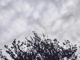 Συνεχίζεται, -Ποιες,synechizetai, -poies
