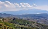 Ακτινίδιο, Άρτας, Ηπείρου,aktinidio, artas, ipeirou