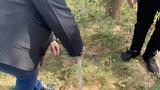 Άλσους Νέας Σμύρνης,alsous neas smyrnis