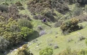 Λάρισα, Αυτός, - Δείτε, larisa, aftos, - deite