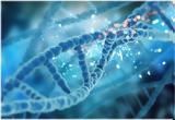 DNA, Μόλις,DNA, molis