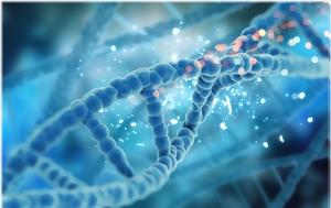 DNA, Μόλις, DNA, molis
