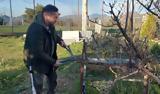 Είχε,eiche