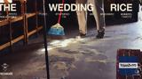 Wikifarmer –,Wedding Rice