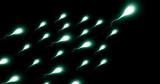 Sperm Racing,