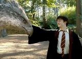 Harry Potter,HBO