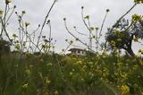 Καιρός, Πάσχα,kairos, pascha