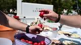 Ταφικό, Ποντίων, Σούρμενα,tafiko, pontion, sourmena