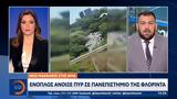 Νέο, ΗΠΑ, Ένοπλος, Φλόριντα,neo, ipa, enoplos, florinta