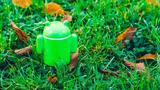 Google,Android