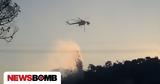 Φωτιά, Βελανίδια Λακωνίας - Επιχειρούν,fotia, velanidia lakonias - epicheiroun