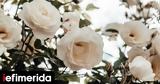Πού, -Στη,pou, -sti