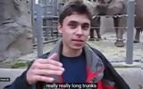 YouTube, – Δείτε,YouTube, – deite