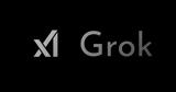 Grok Vision,