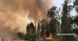 Μεγάλες, Ιερουσαλήμ – Εξετάζεται, Ελλάδα, Νετανιάχου,megales, ierousalim – exetazetai, ellada, netaniachou