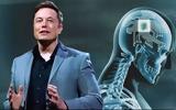 Neuralink, Μασκ,Neuralink, mask