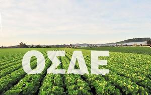 ΕΘΕΑΣ, Επτά, ΟΣΔΕ, etheas, epta, osde