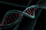 Ειδικοί, DNA,eidikoi, DNA
