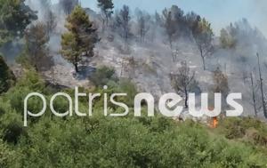 Φωτιά, Καλυβάκια, Ηλείας, fotia, kalyvakia, ileias