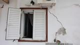 Βούτες, Φυλλώδης, – Εξετάζουμε,voutes, fyllodis, – exetazoume