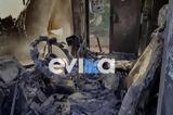 Φωτιά, Εύβοια, Φορτωτής,fotia, evvoia, fortotis