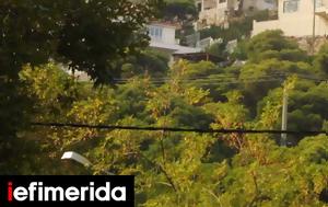 ΓΓ Χωρικού Σχεδιασμού, Αστικού Περιβάλλοντος, ng chorikou schediasmou, astikou perivallontos