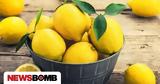 Λεμόνια, Αυτό,lemonia, afto