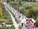 Miele, Navarino Challenge 2025, Platinum Χορηγός,Miele, Navarino Challenge 2025, Platinum chorigos