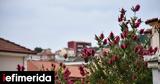 Συναυλίες, Εργατική Πρωτομαγιά,synavlies, ergatiki protomagia