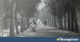 Πρωτομαγιά, Αθήνα, Πατήσια, Αμπελόκηποι, Σεπόλια,protomagia, athina, patisia, abelokipoi, sepolia