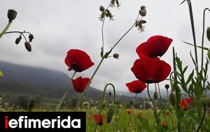 Weather, Scattered, Friday