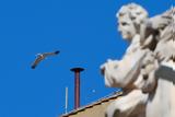 Βατικανό, Πώς, Πάπα – Περιορισμοί,vatikano, pos, papa – periorismoi