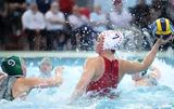 Ολυμπιακός – Φερεντσβάρος 18-11, Ευρώπης,olybiakos – ferentsvaros 18-11, evropis
